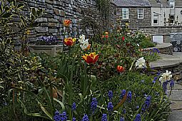 Wick Memorial Garden, special thanks to Ian Horne for allowing us the use of his photographs